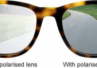 polarized glasses