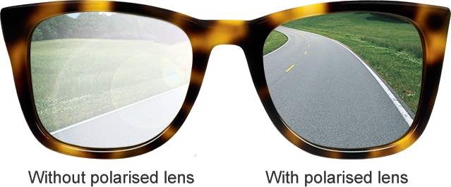 Difference Between Polarized Vs Non-Polarized Sunglasses